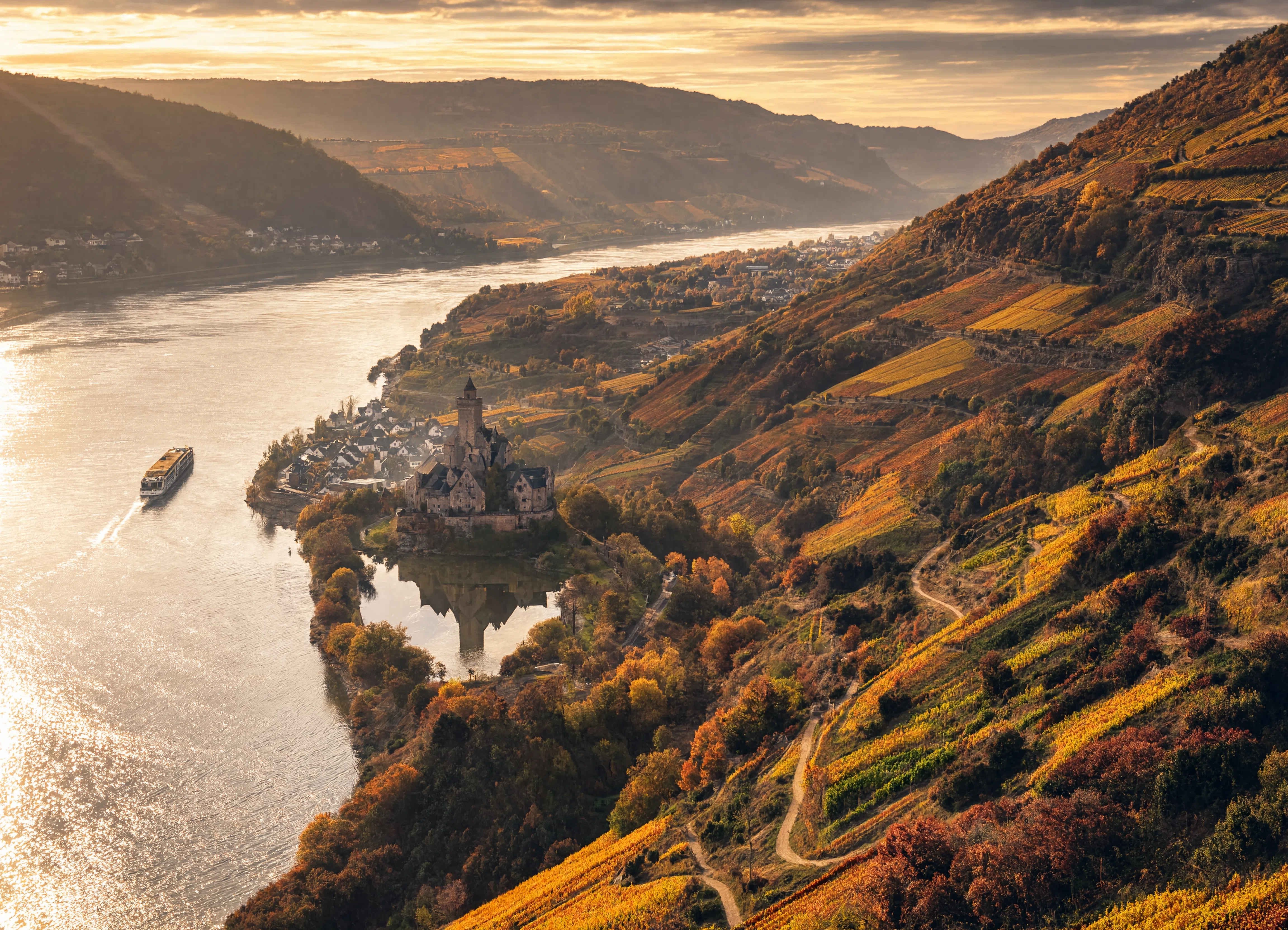 Herbstliche Landschaft im Rheintal — goldene Weinberge und der mächtige Fluss im Morgennebel